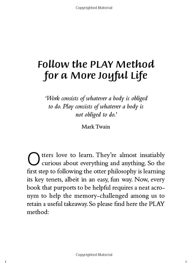 the little book of otter philosophy (the little animal philosophy books)