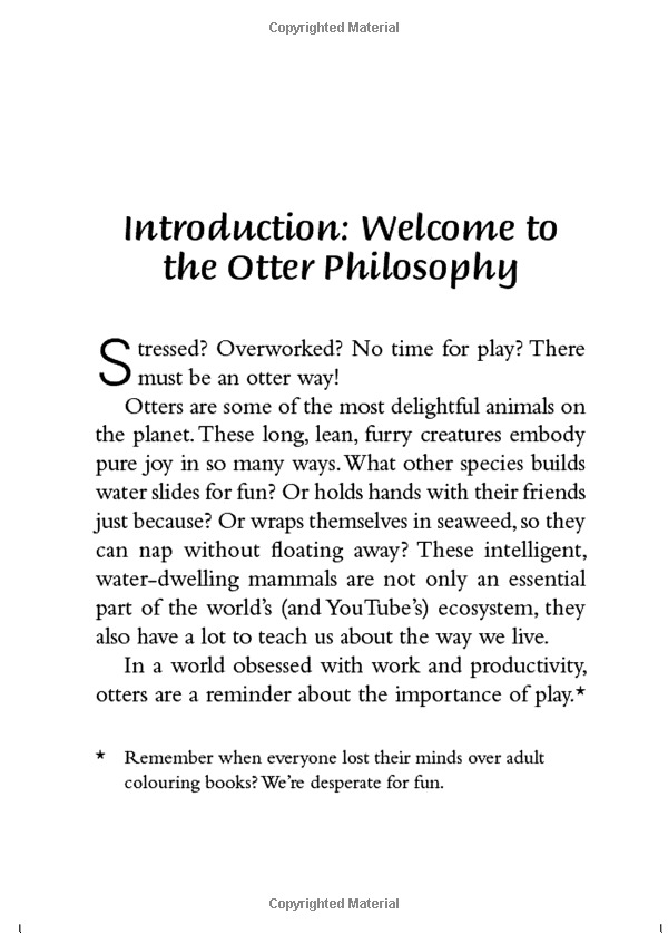 the little book of otter philosophy (the little animal philosophy books)