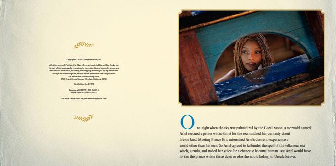 the little mermaid: adventures on land