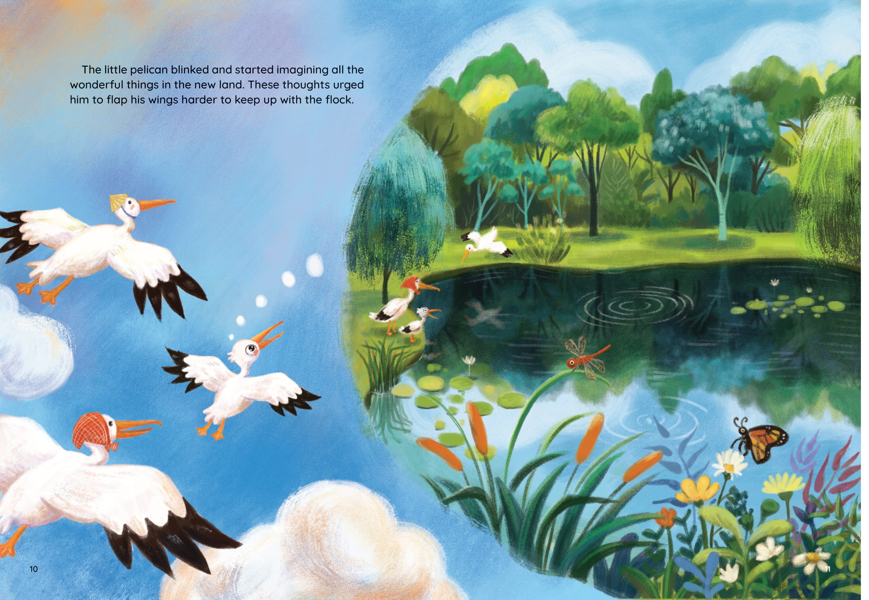 The Loving Little Pelican