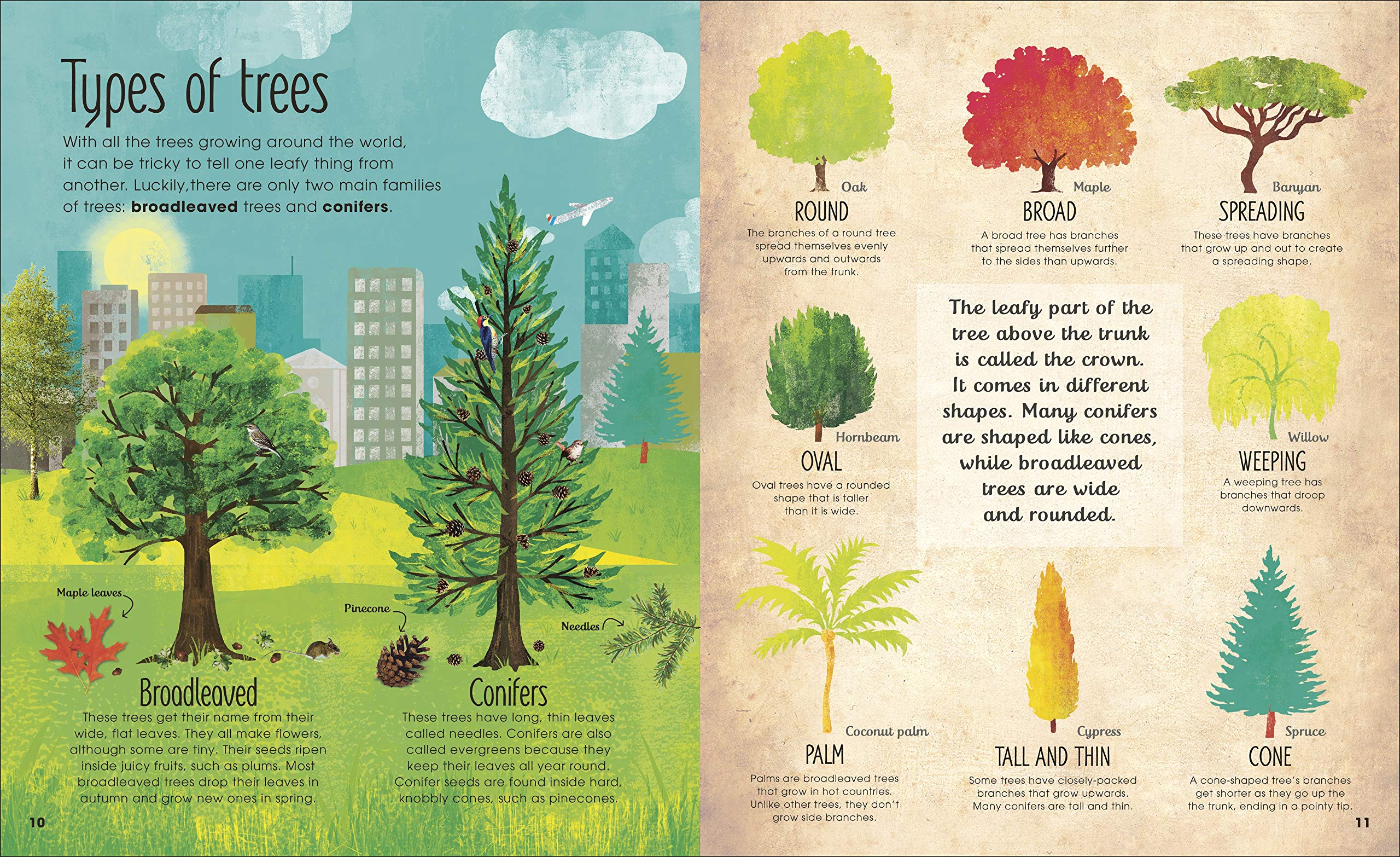 the magic and mystery of trees