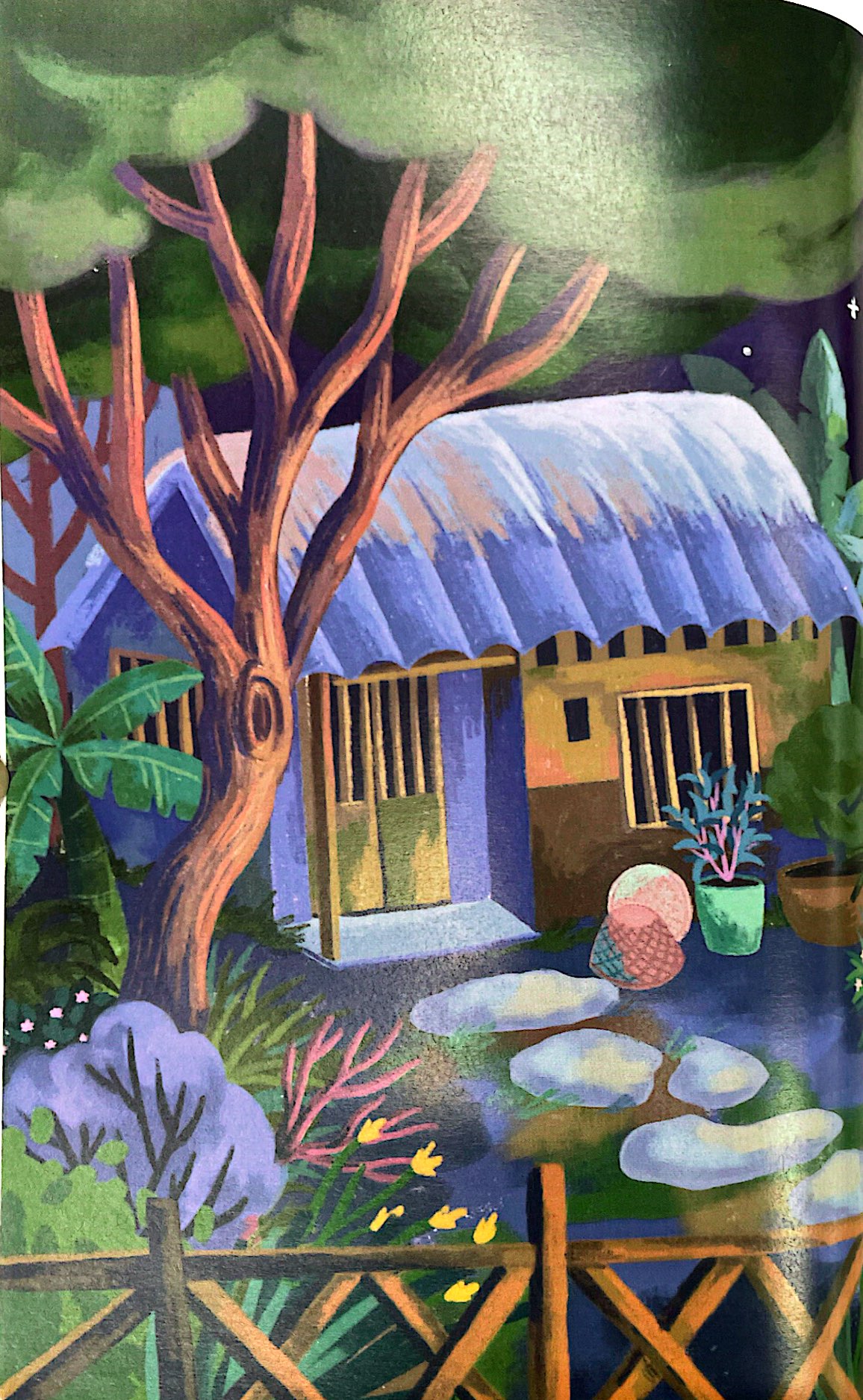 the magical seashell