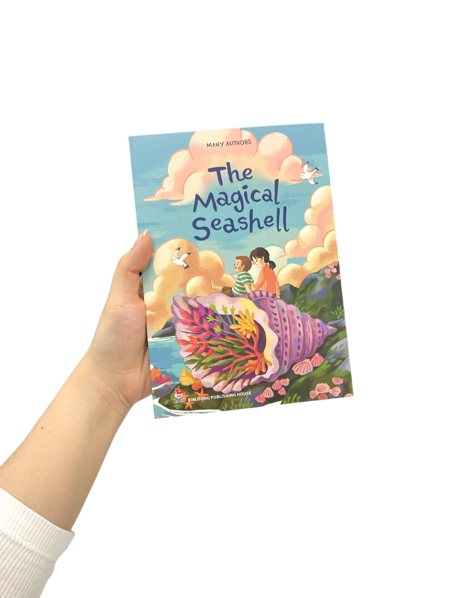 the magical seashell