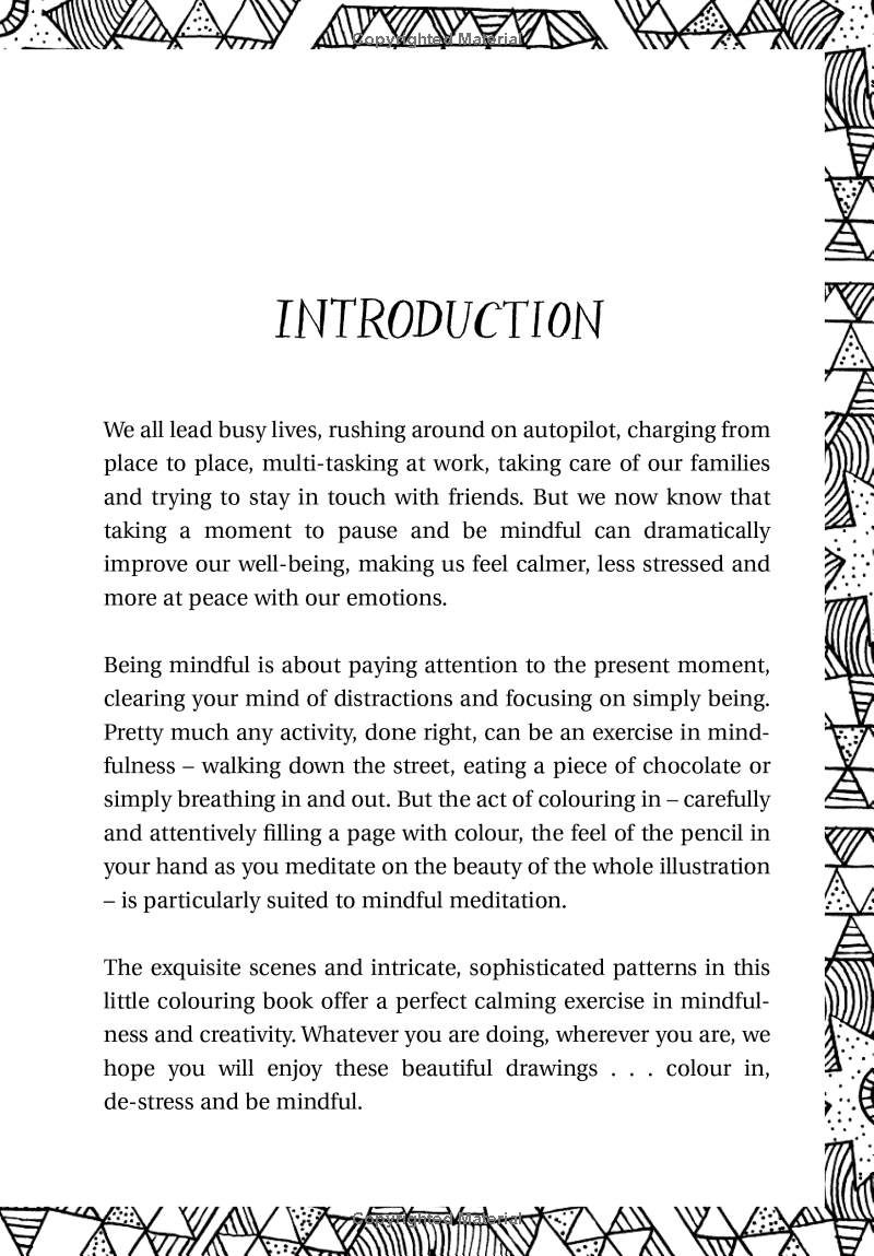 The Mindfulness Colouring Book : Anti-Stress Art Therapy for Busy People