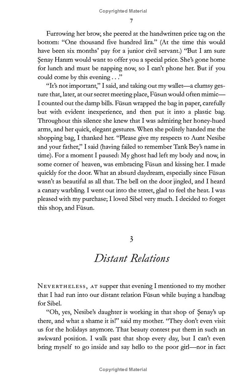 the museum of innocence