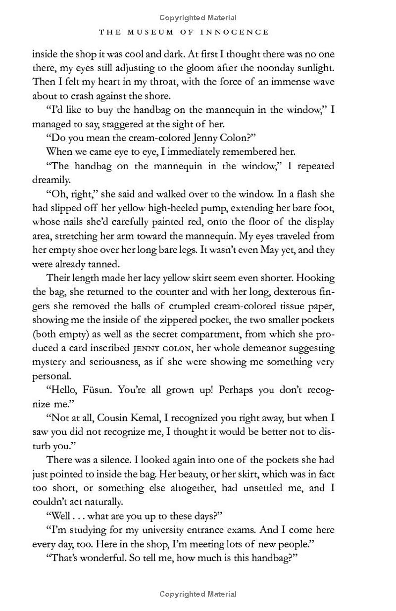 the museum of innocence