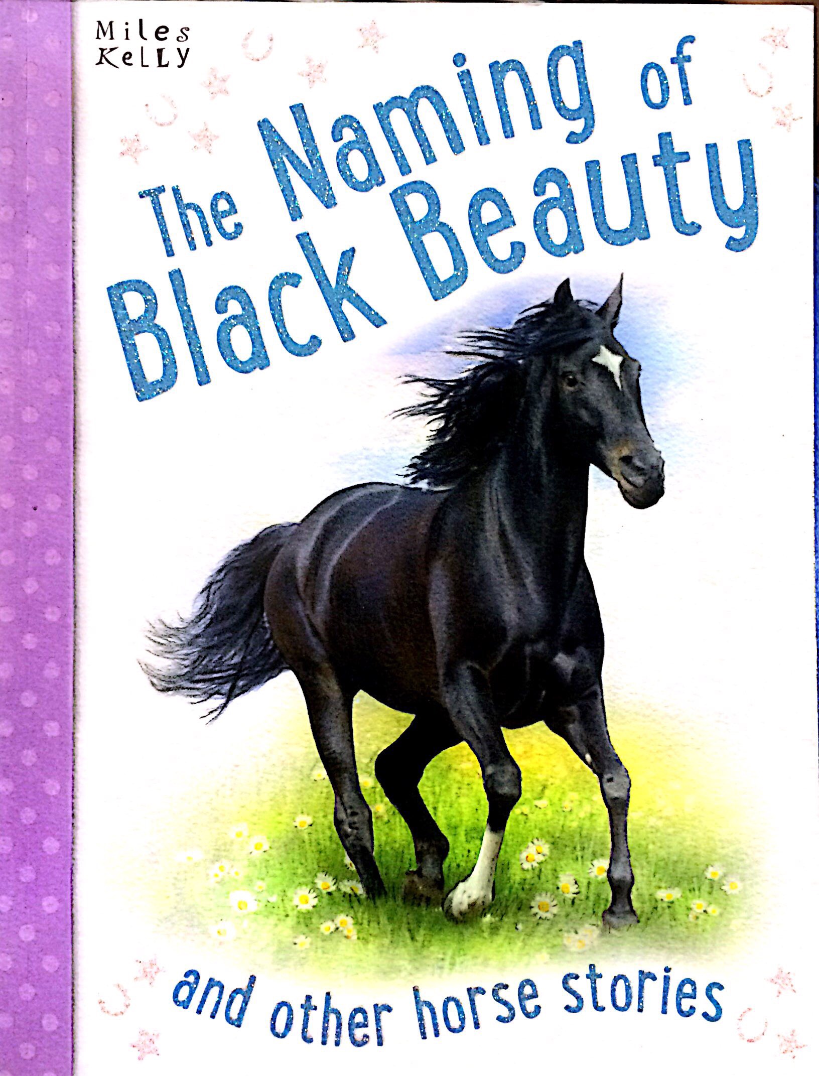 the naming of black beauty