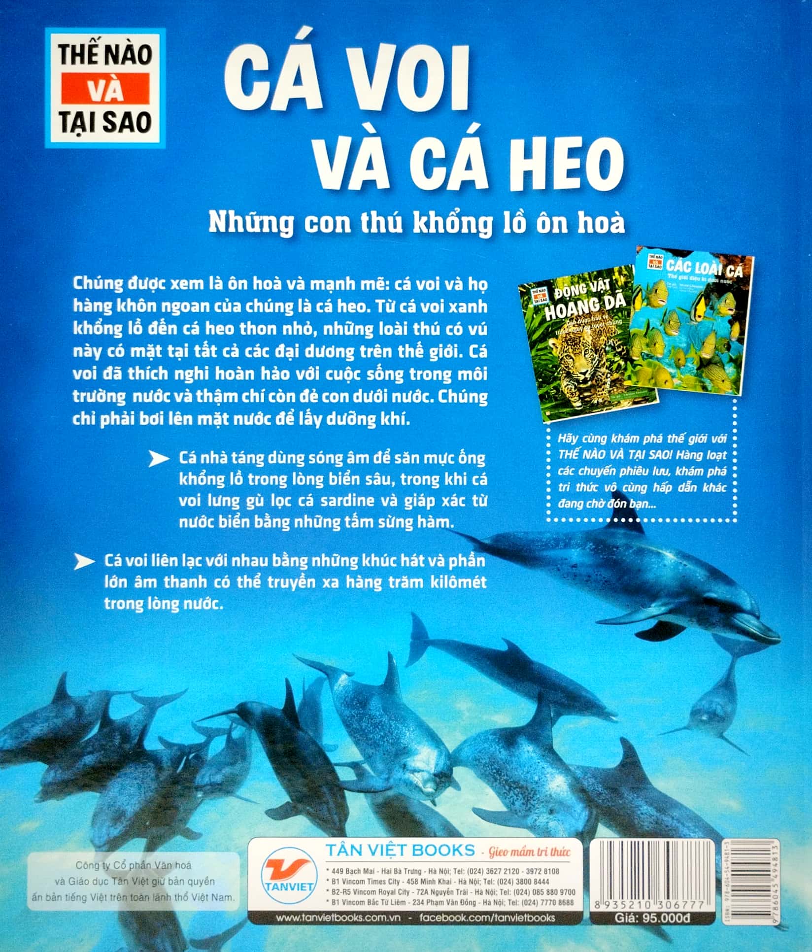 thế nào và tại sao - cá voi và cá heo - những con thú khổng lồ ôn hòa - bìa cứng (tái bản 2023)