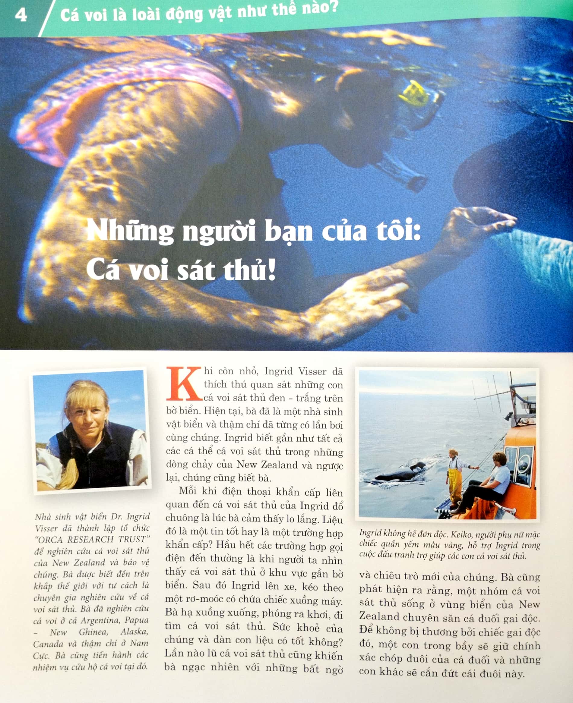 thế nào và tại sao - cá voi và cá heo - những con thú khổng lồ ôn hòa - bìa cứng (tái bản 2023)