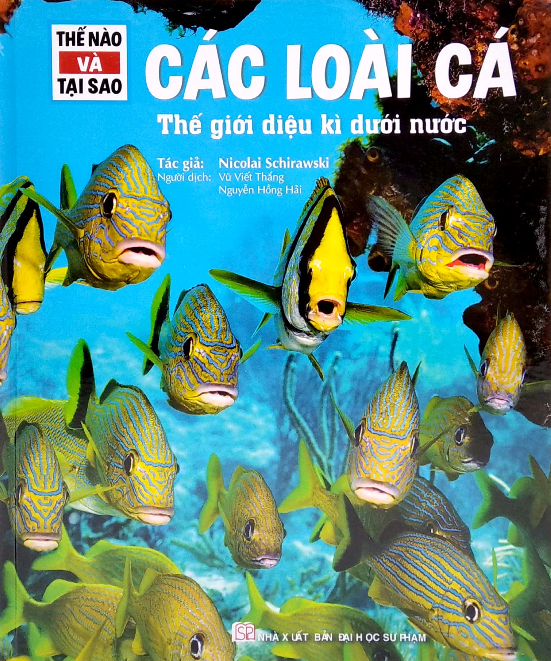 thế nào và tại sao - các loài cá - thế giới diệu kì dưới nước