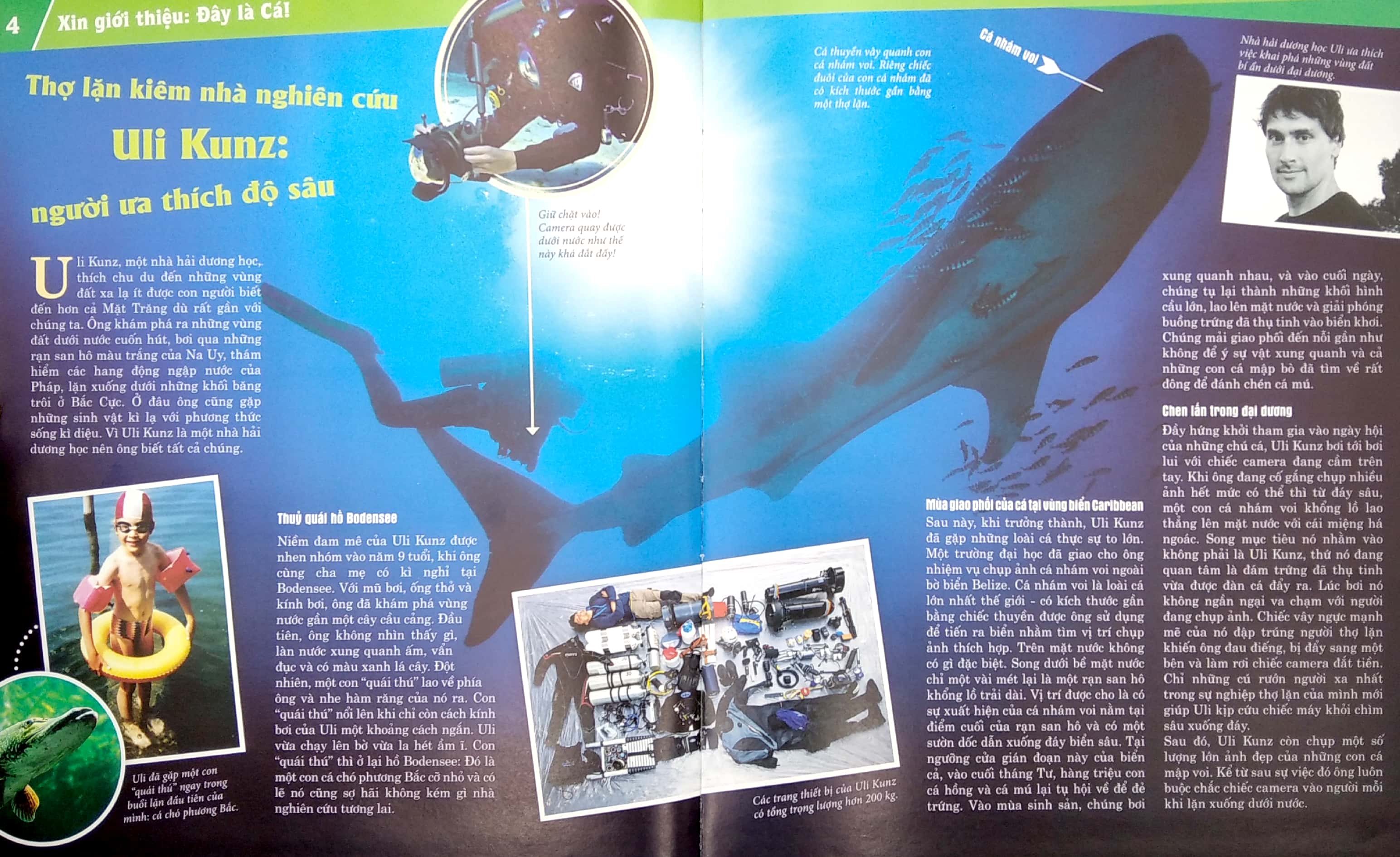 thế nào và tại sao - các loài cá - thế giới diệu kì dưới nước