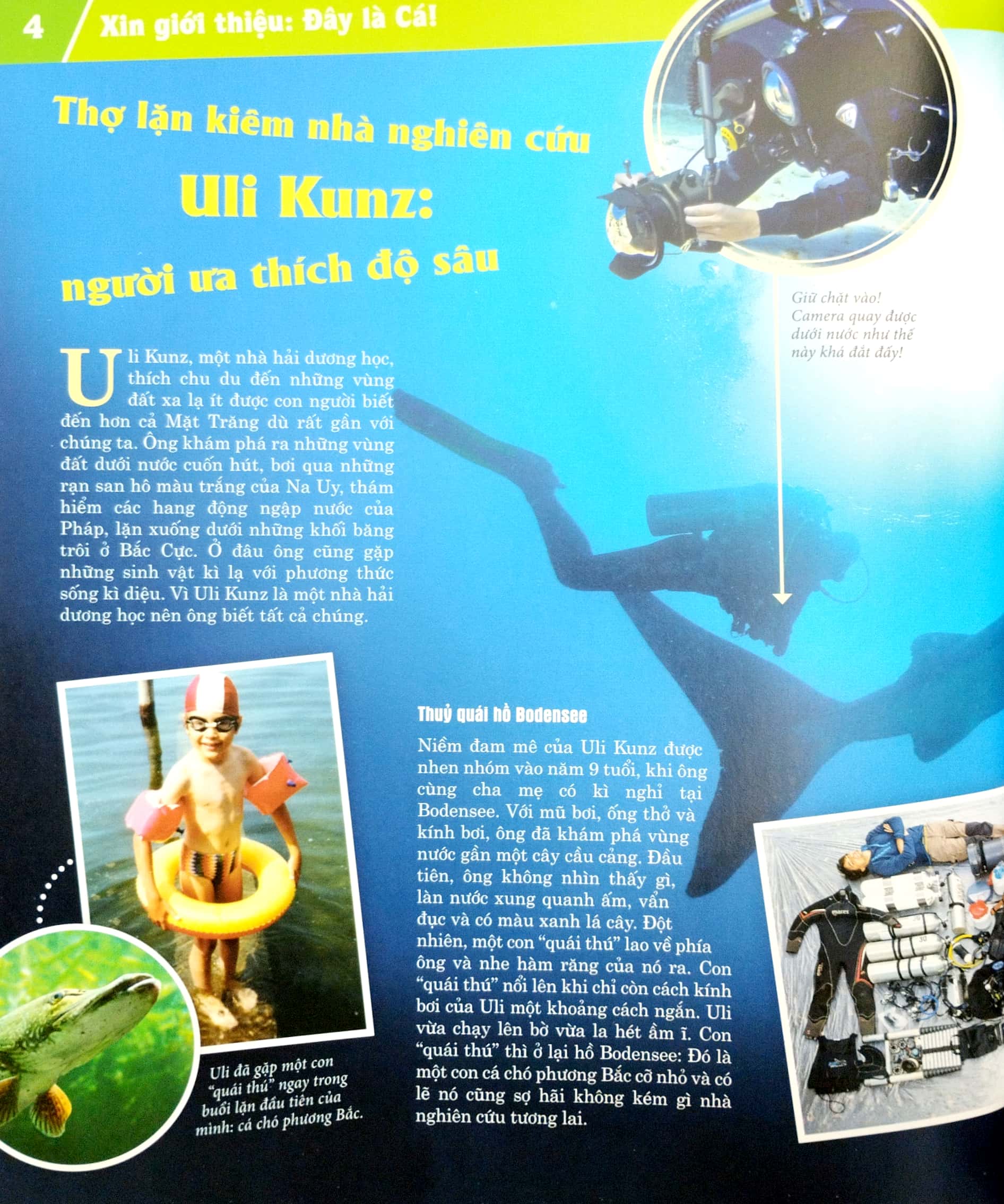 thế nào và tại sao - các loài cá - thế giới diệu kì dưới nước - bìa cứng (tái bản 2023)