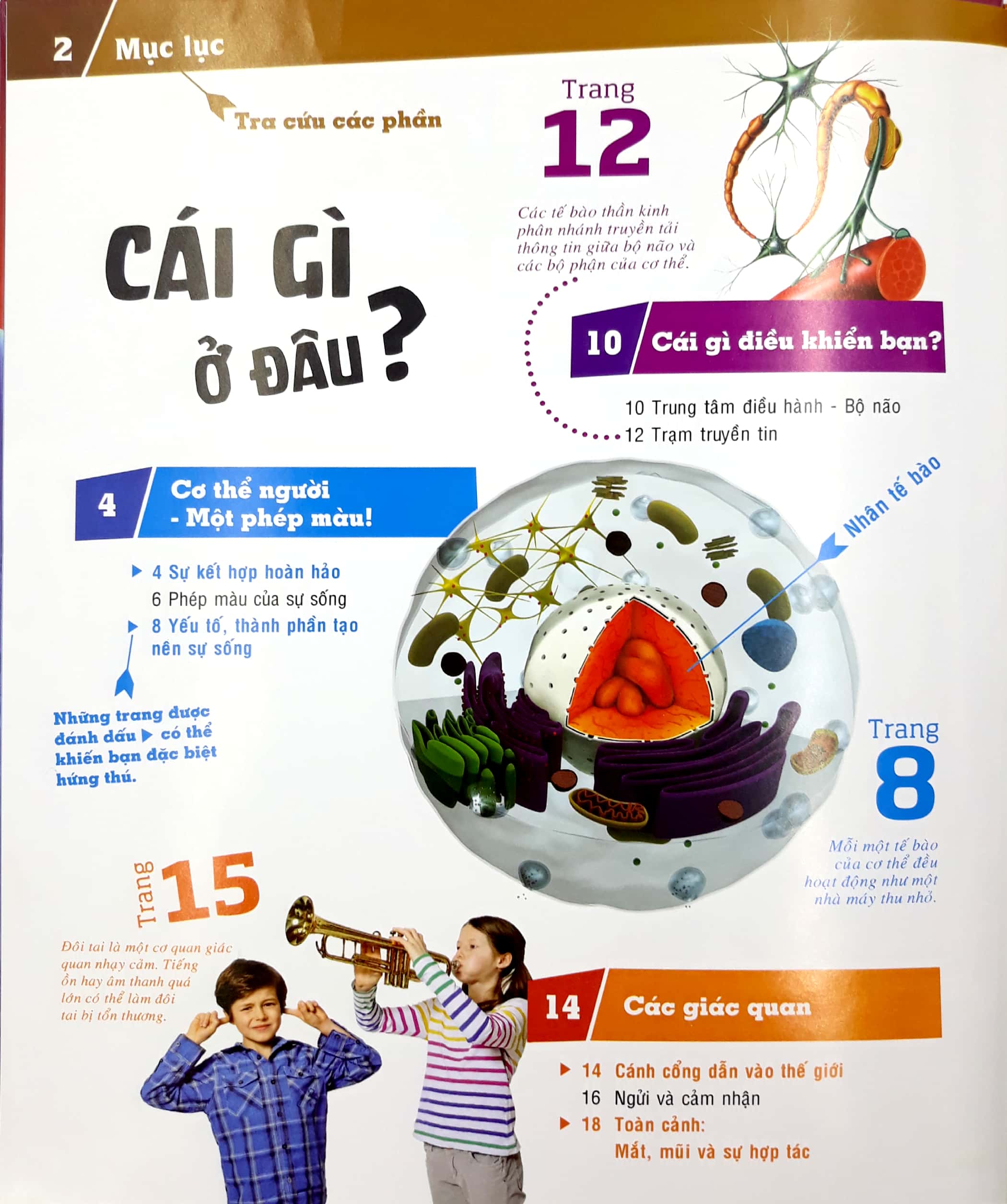 thế nào và tại sao - cơ thể người - tuyệt tác của tạo hóa - bìa cứng (tái bản 2024)