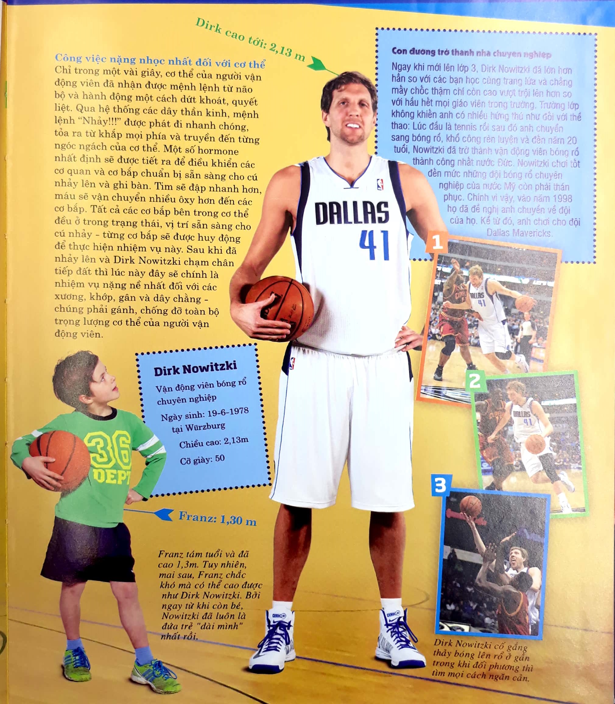 thế nào và tại sao - cơ thể người - tuyệt tác của tạo hóa - bìa cứng (tái bản 2024)