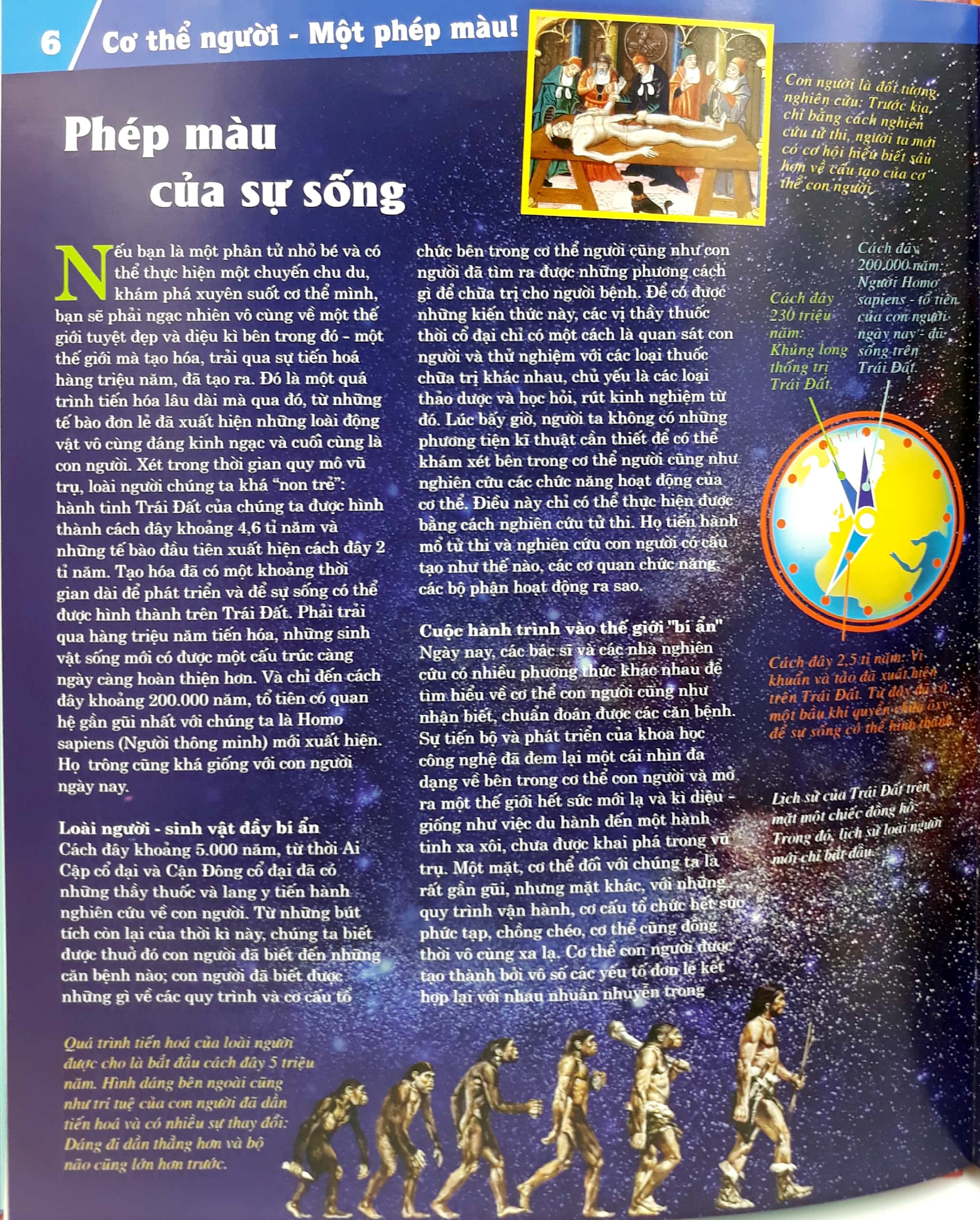 thế nào và tại sao - cơ thể người - tuyệt tác của tạo hóa - bìa cứng (tái bản 2024)