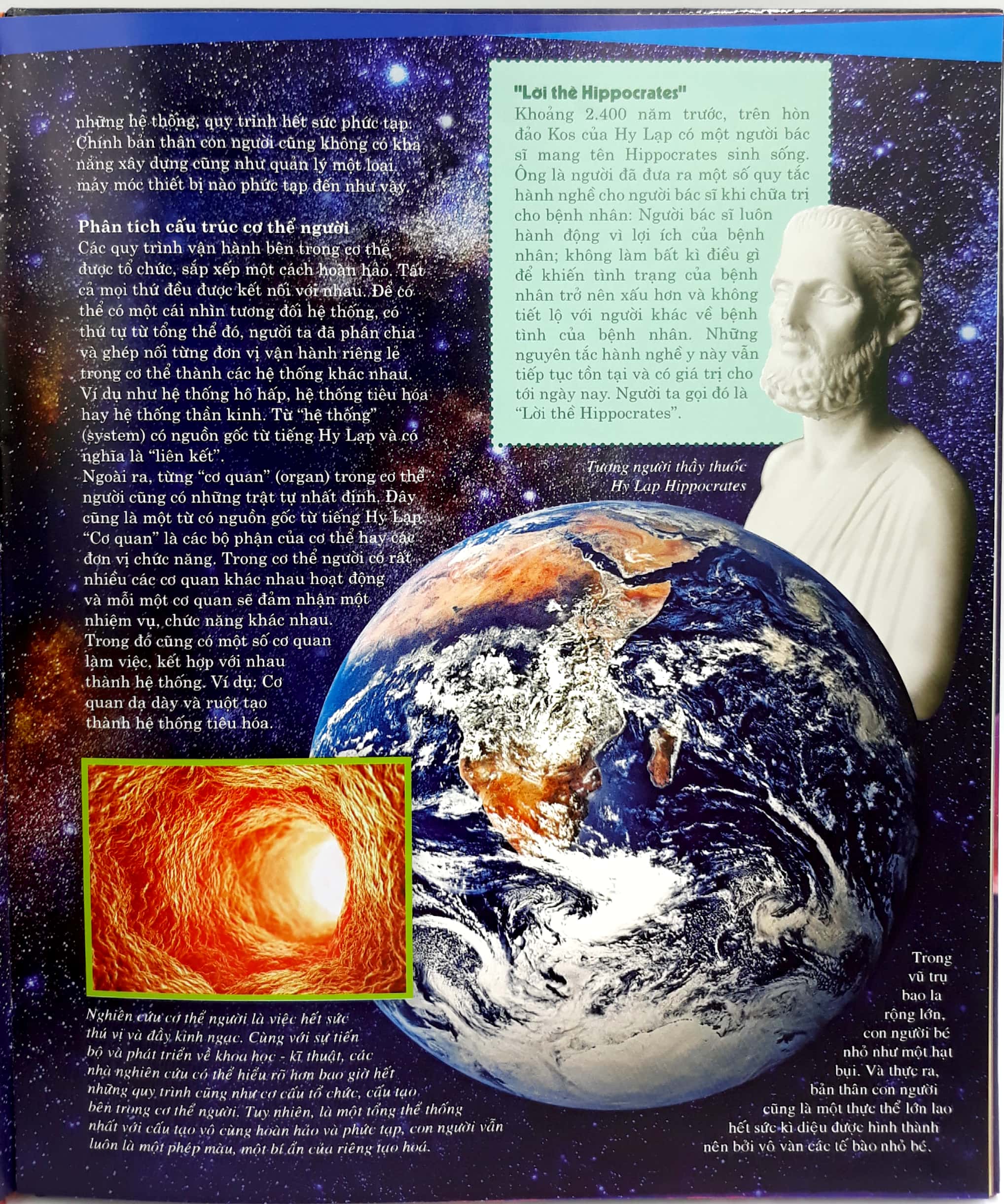 thế nào và tại sao - cơ thể người - tuyệt tác của tạo hóa - bìa cứng (tái bản 2024)