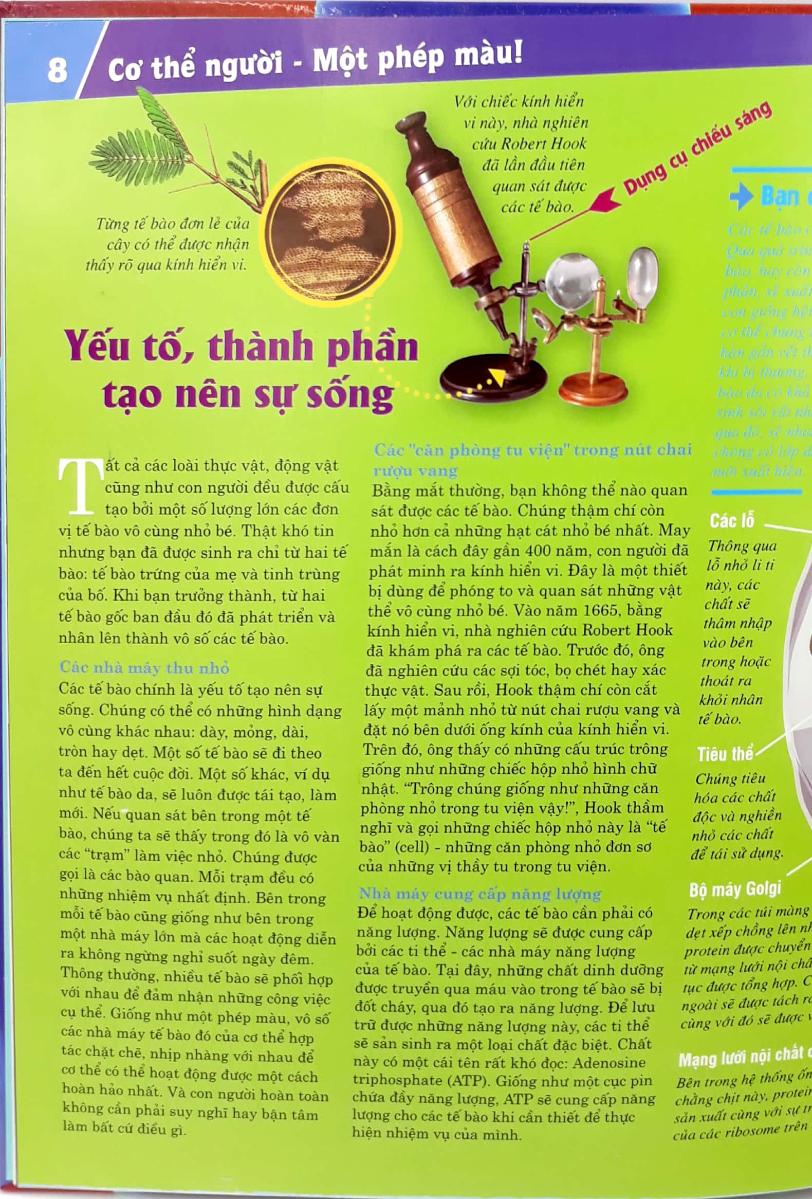 thế nào và tại sao - cơ thể người - tuyệt tác của tạo hóa - bìa cứng (tái bản 2024)