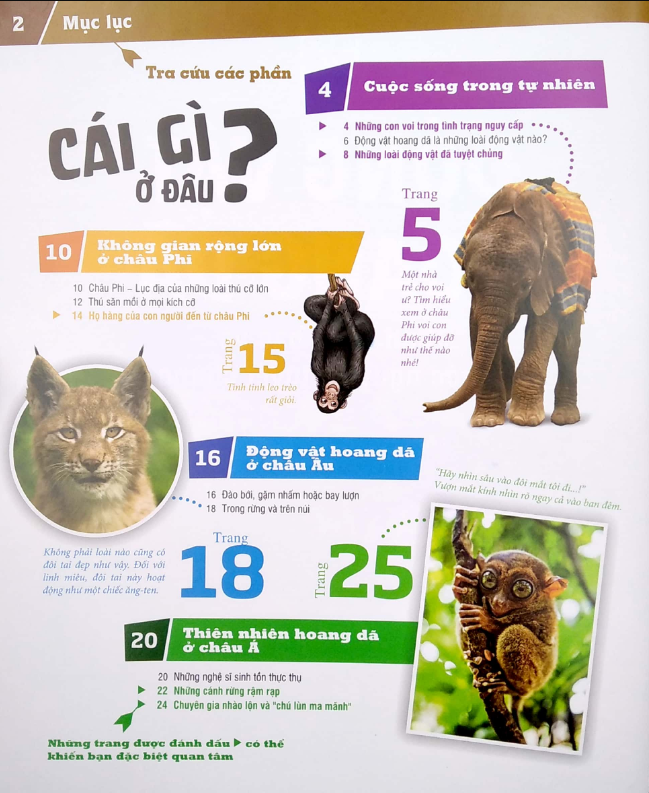 thế nào và tại sao - động vật hoang dã cần được bảo vệ trước nguy cơ tuyệt chủng