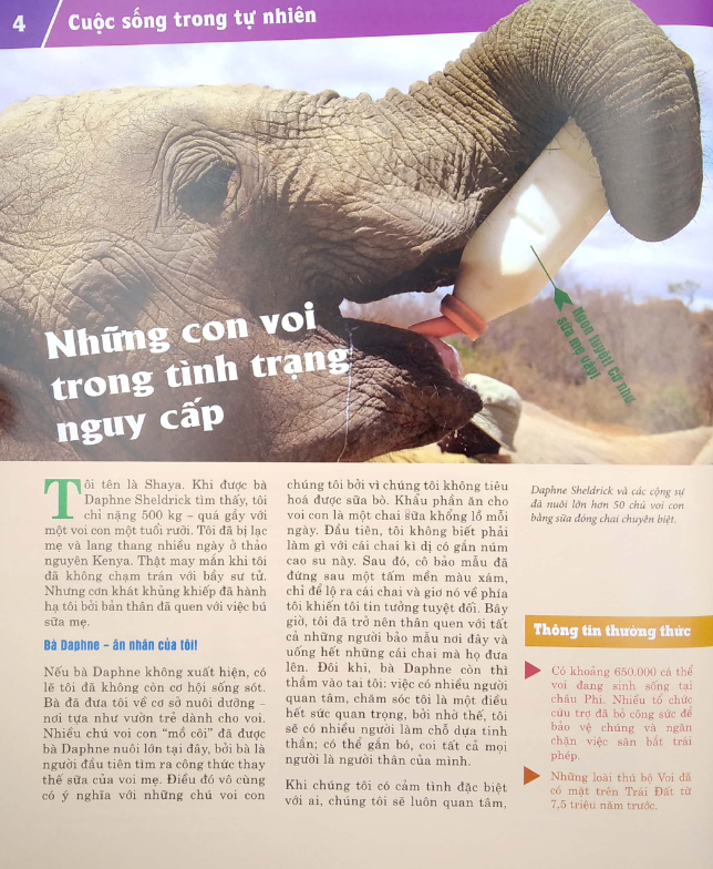 thế nào và tại sao - động vật hoang dã cần được bảo vệ trước nguy cơ tuyệt chủng