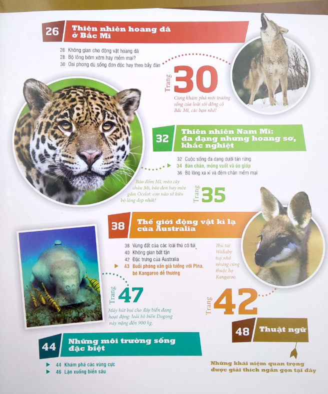 thế nào và tại sao - động vật hoang dã cần được bảo vệ trước nguy cơ tuyệt chủng