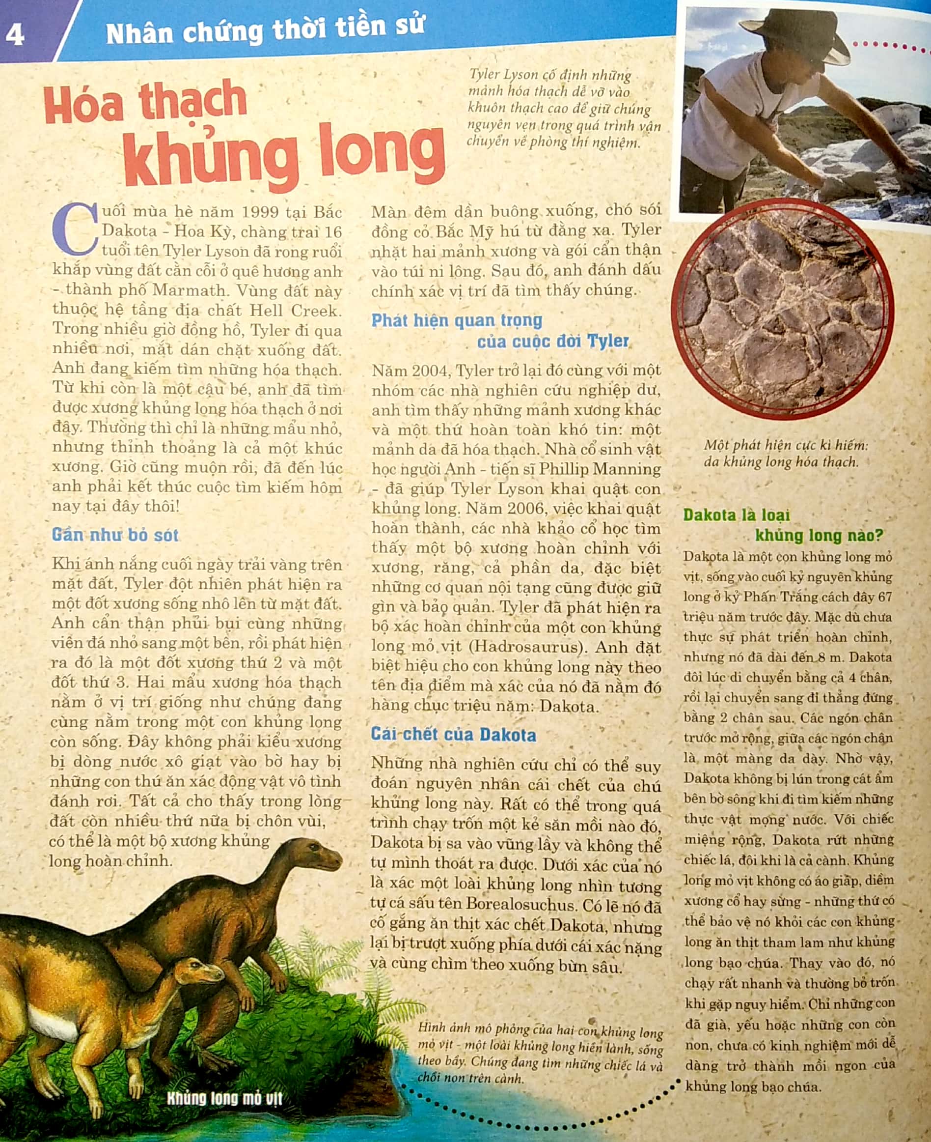 thế nào và tại sao: khủng long - trong đế chế của các loài bò sát (tái bản 2022)