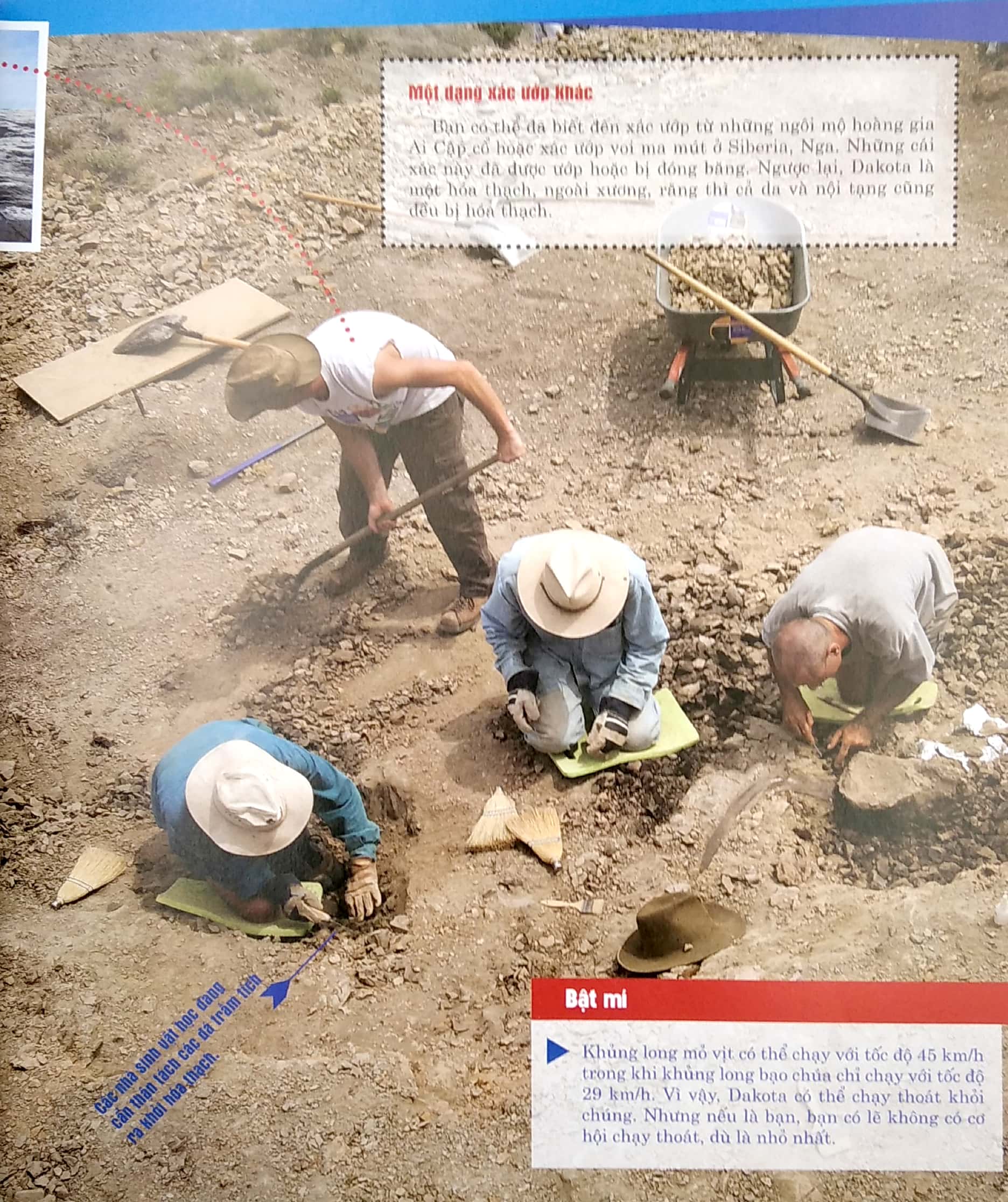 thế nào và tại sao: khủng long - trong đế chế của các loài bò sát (tái bản 2022)