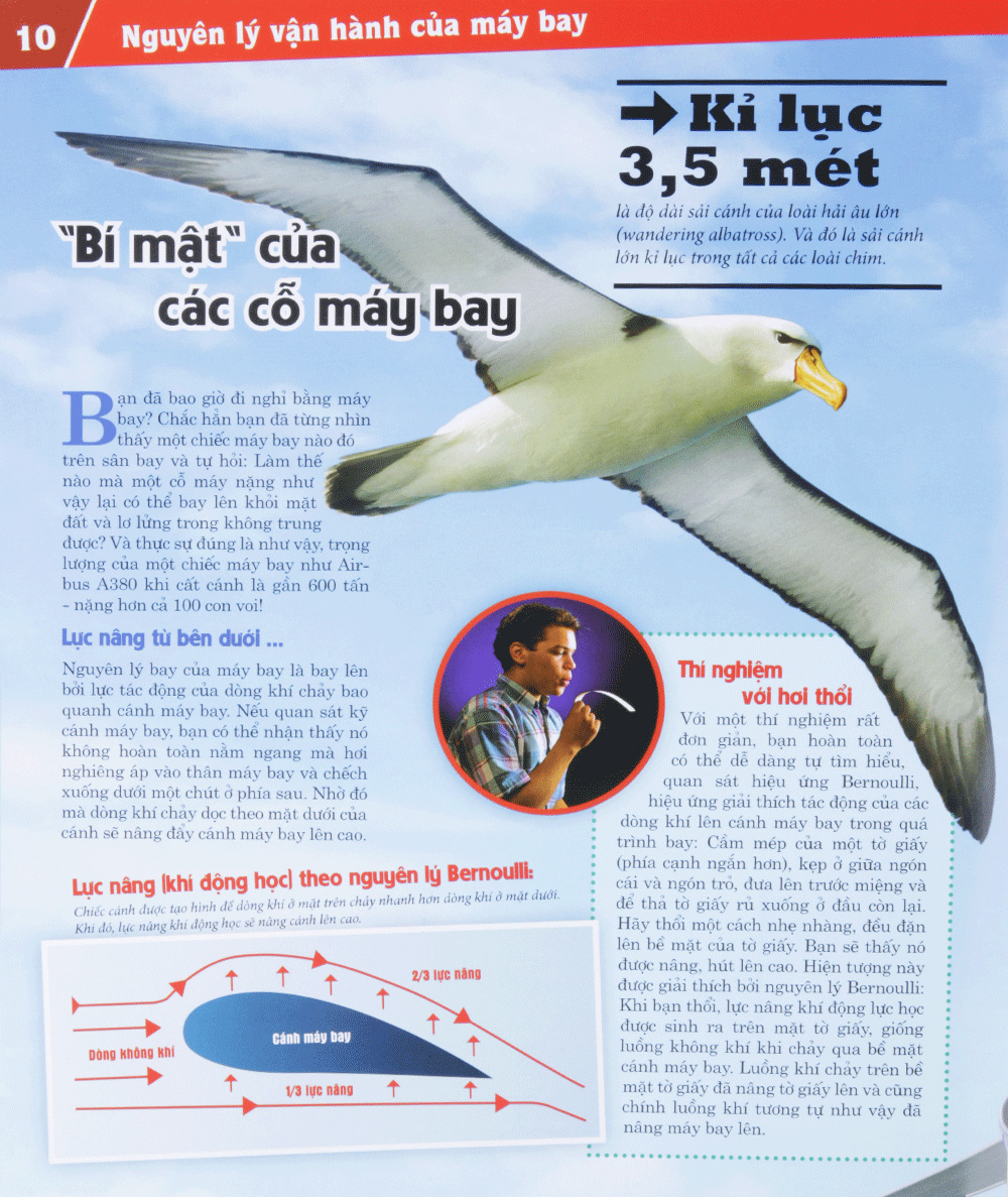 The Nao Va Tai Sao: May Bay - Giac Mo Bay (Tai Ban 2023)