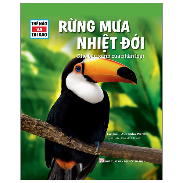 thế nào và tại sao - rừng mưa nhiệt đới