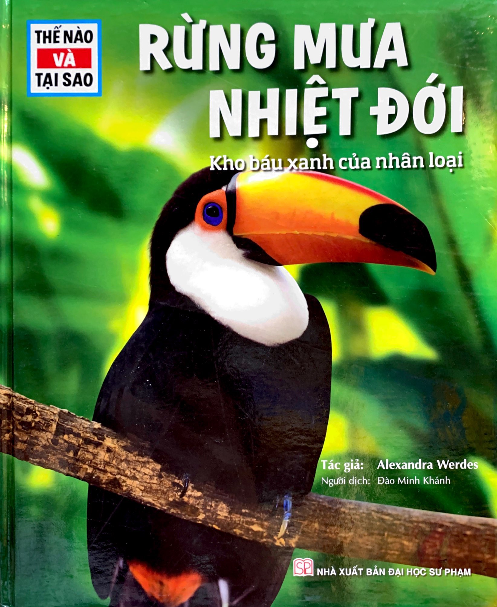 thế nào và tại sao - rừng mưa nhiệt đới