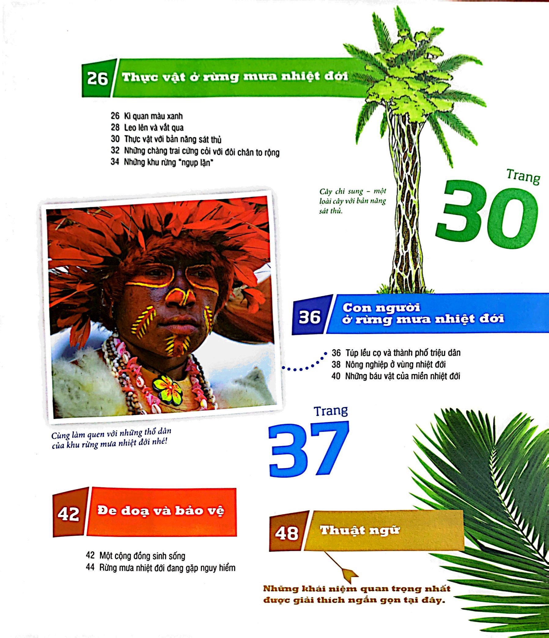 thế nào và tại sao - rừng mưa nhiệt đới