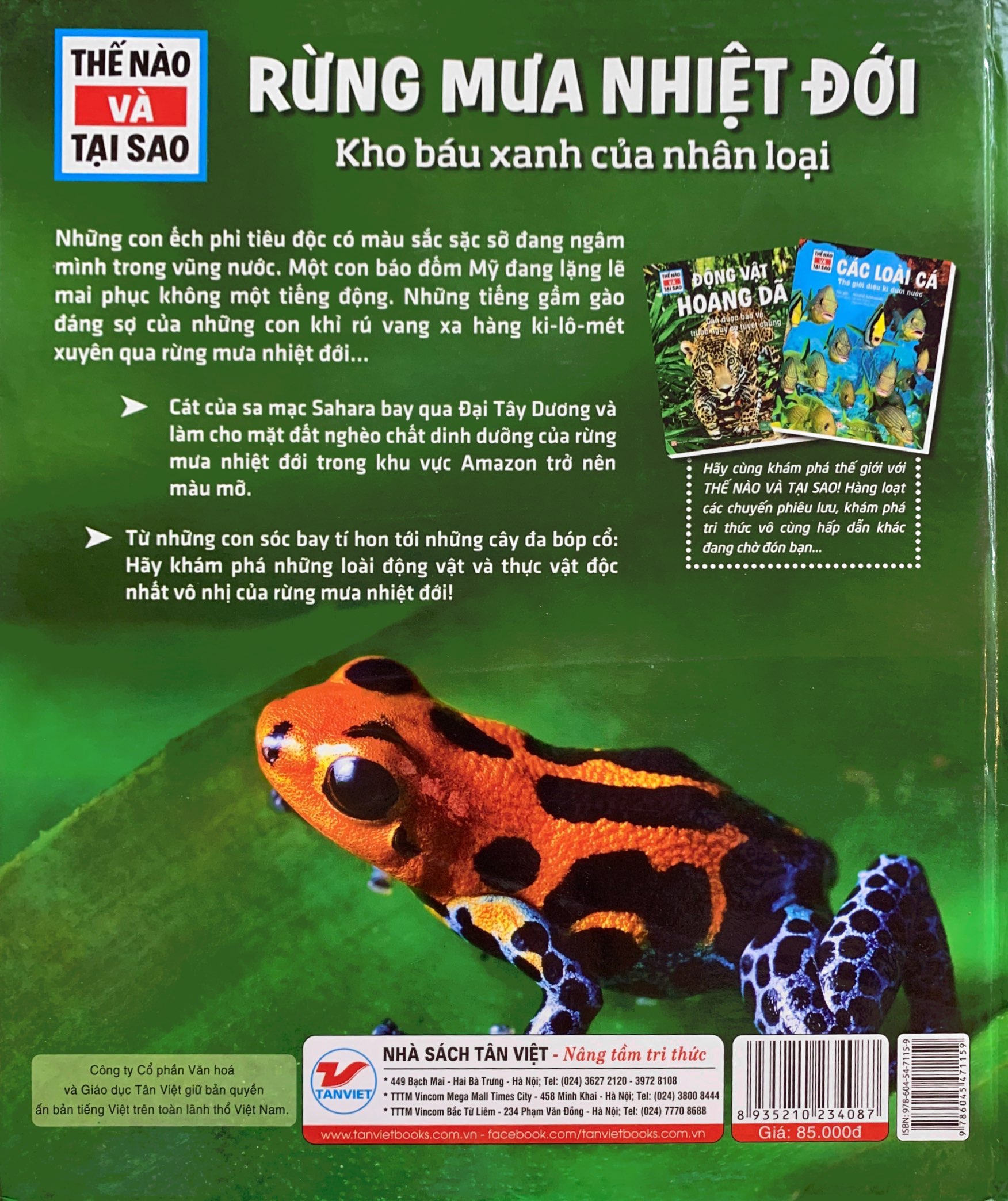 thế nào và tại sao - rừng mưa nhiệt đới