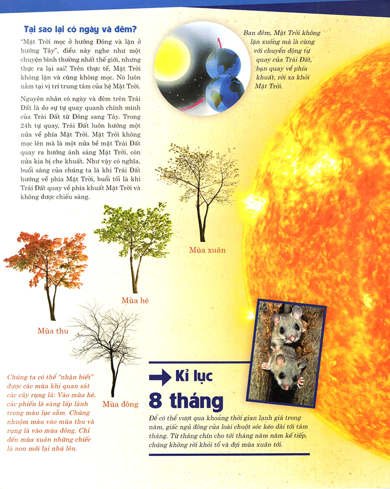 thế nào và tại sao - trái đất của chúng ta - hành tinh xanh (tái bản)