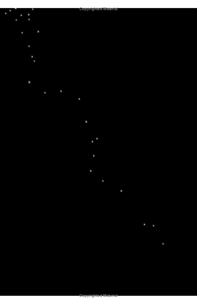 the night circus (exp)