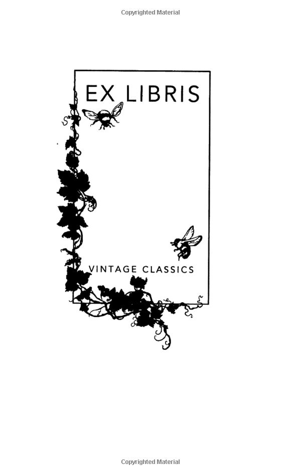 the old man and the sea