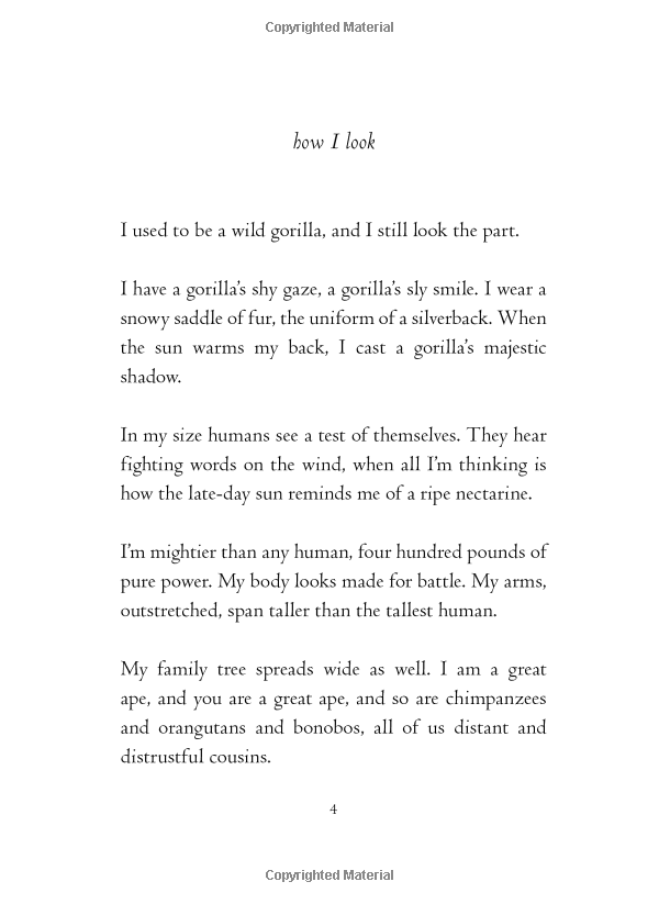 the one and only ivan