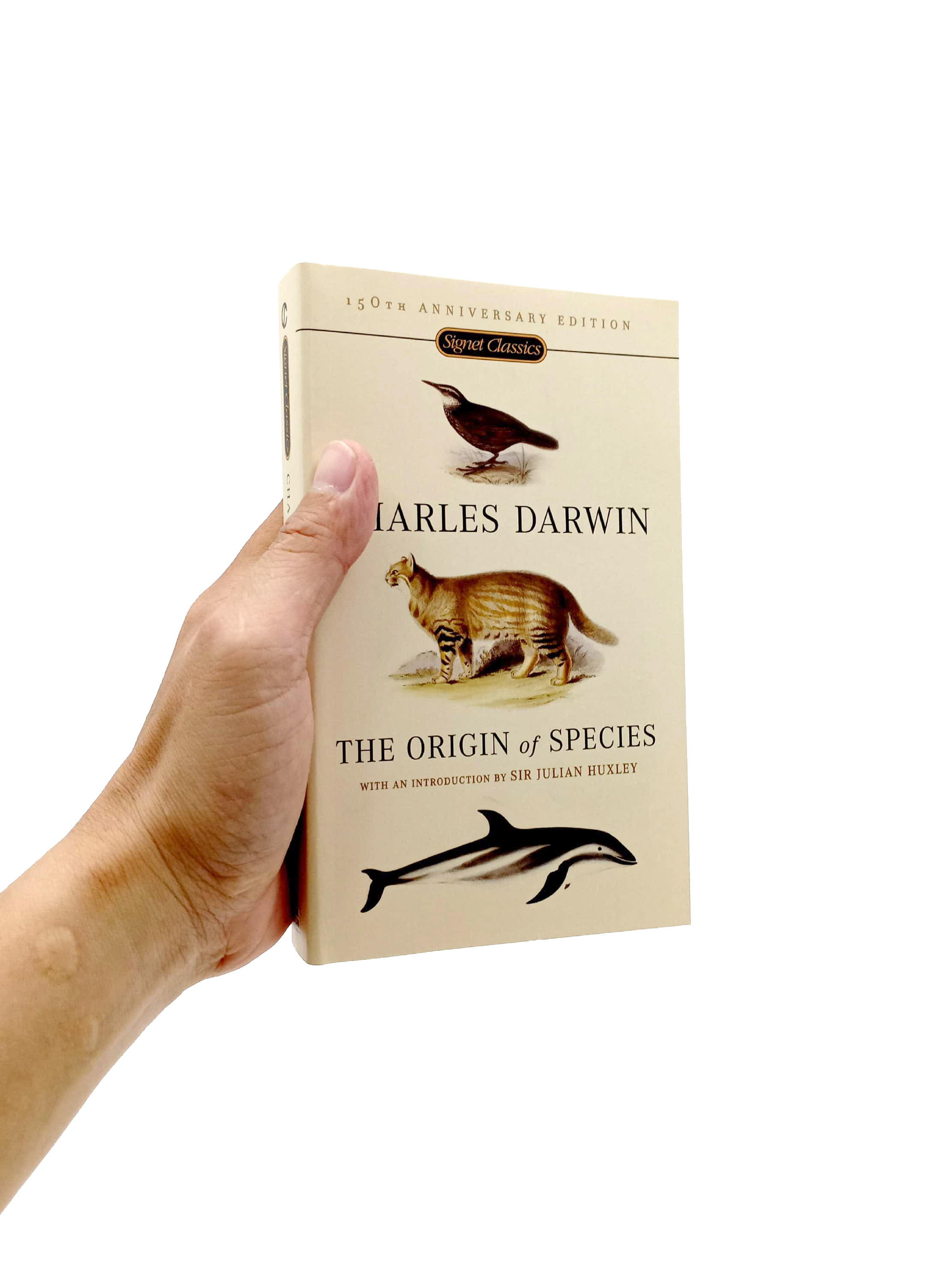 the origin of species