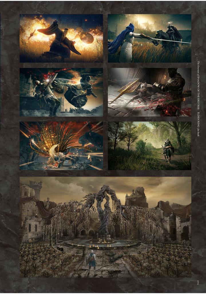 the overture of shadow of the erdtree elden ring fan book