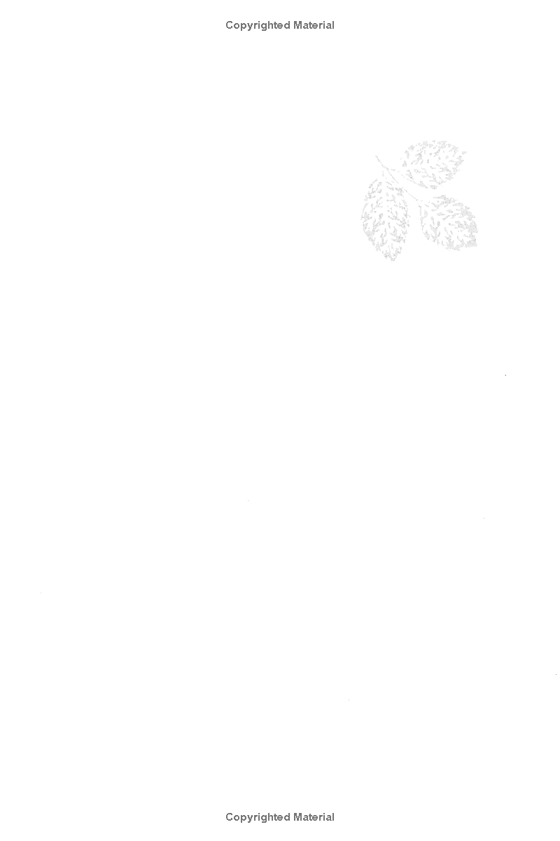 the path of emancipation