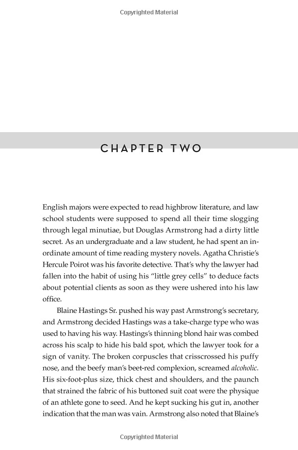 the perfect alibi: a novel (robin lockwood)