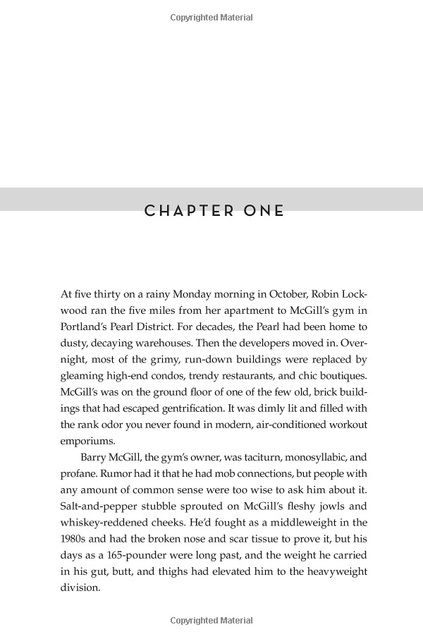 the perfect alibi: a novel (robin lockwood)