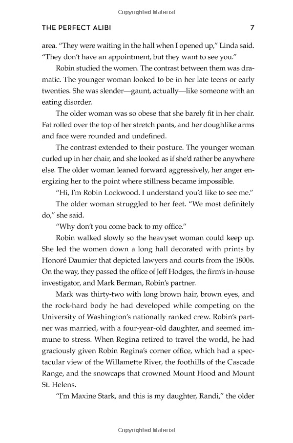 the perfect alibi: a novel (robin lockwood)