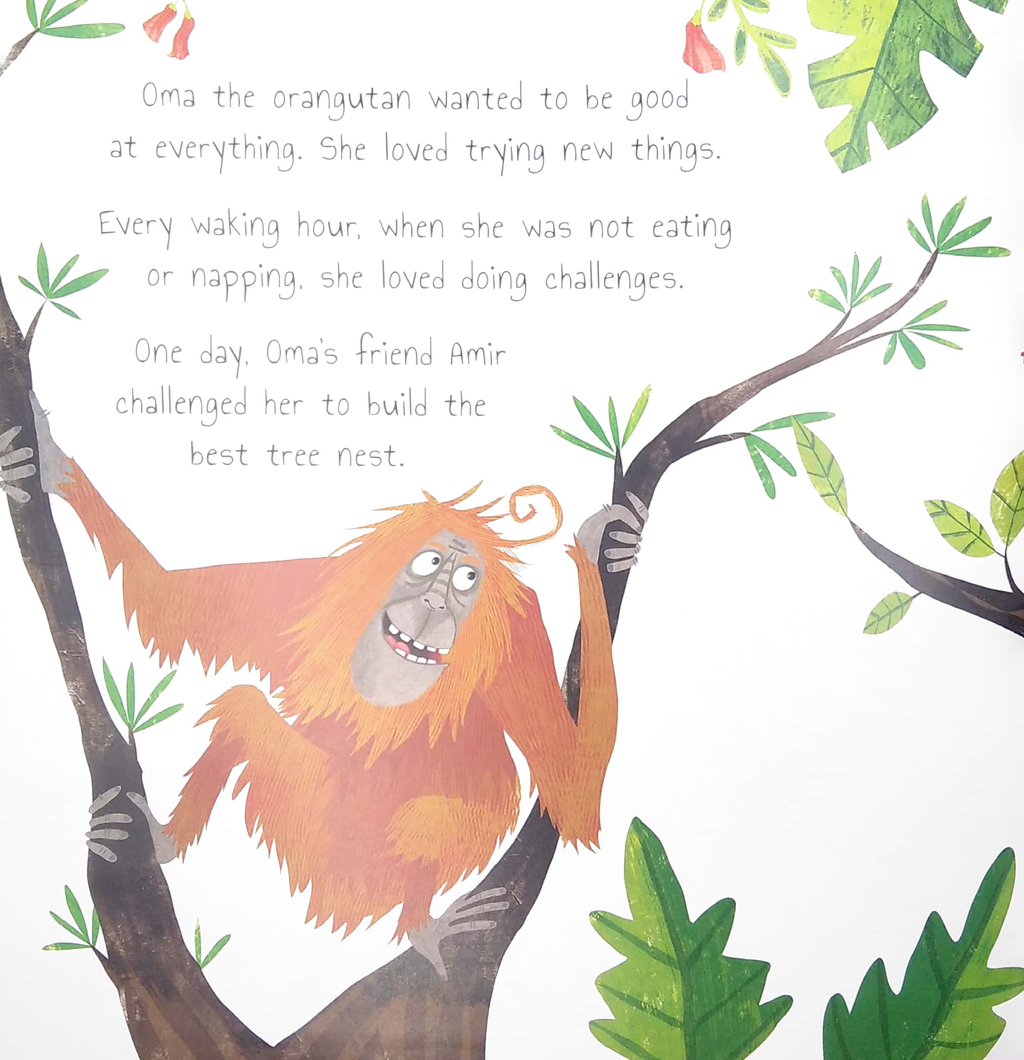 the plucky orangutan