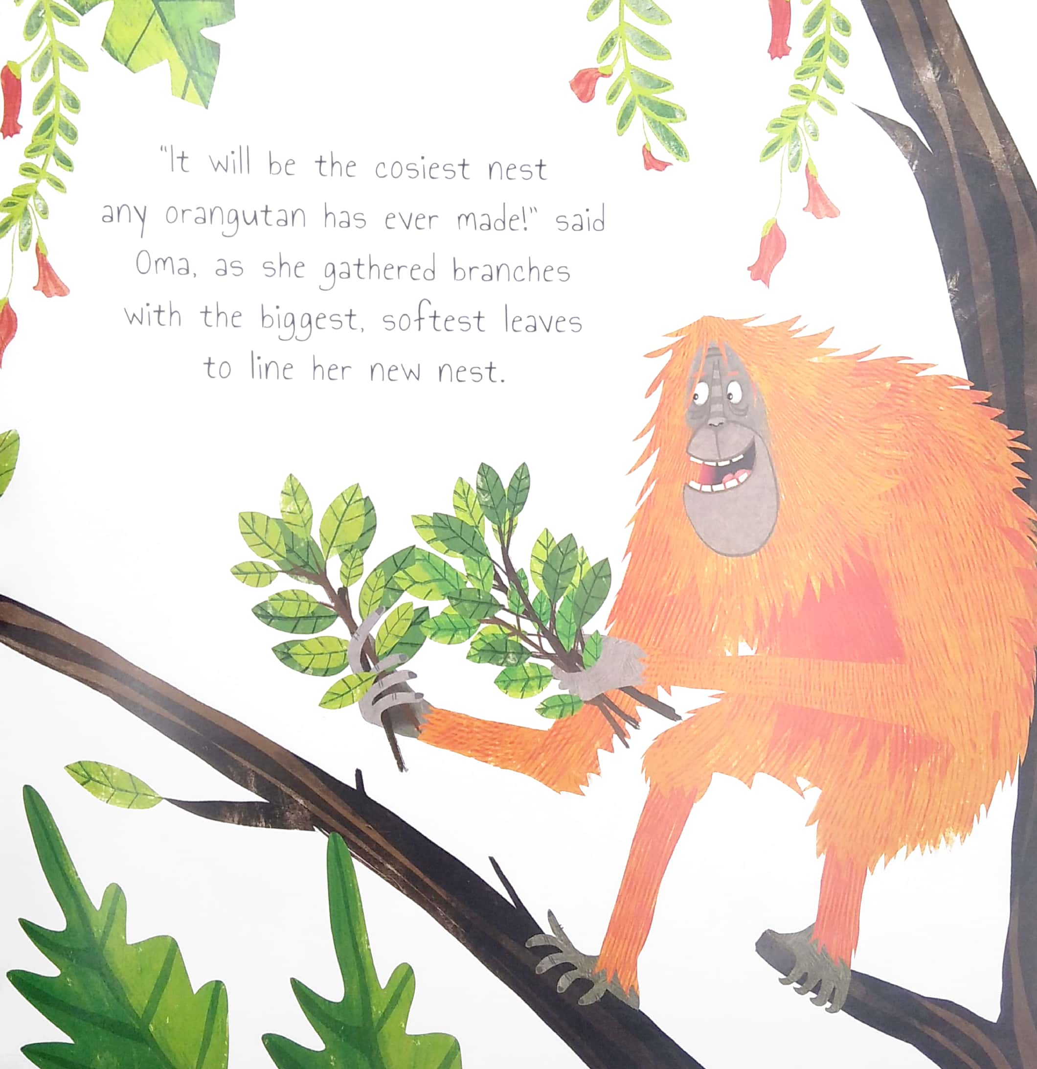 the plucky orangutan