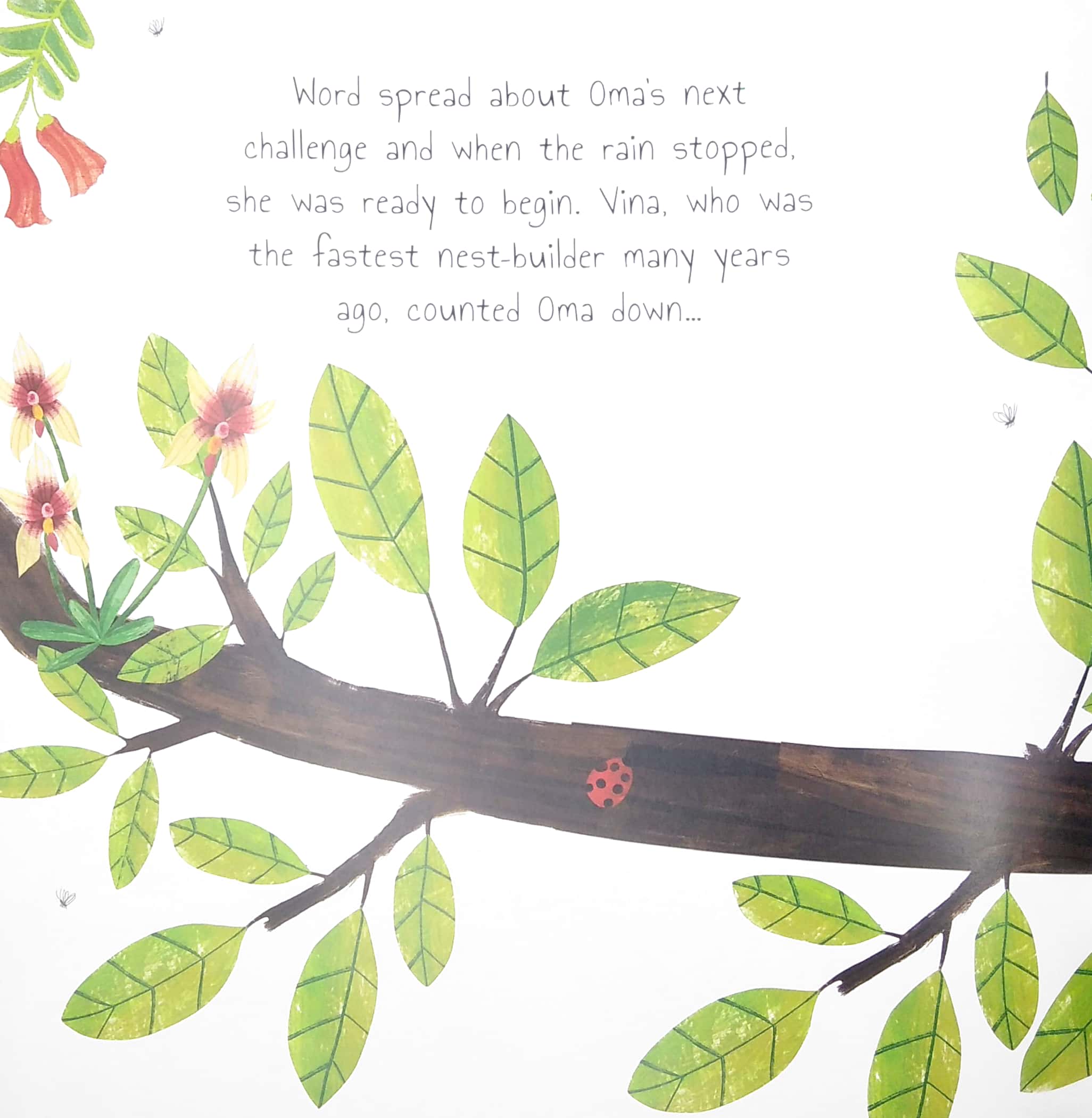 the plucky orangutan