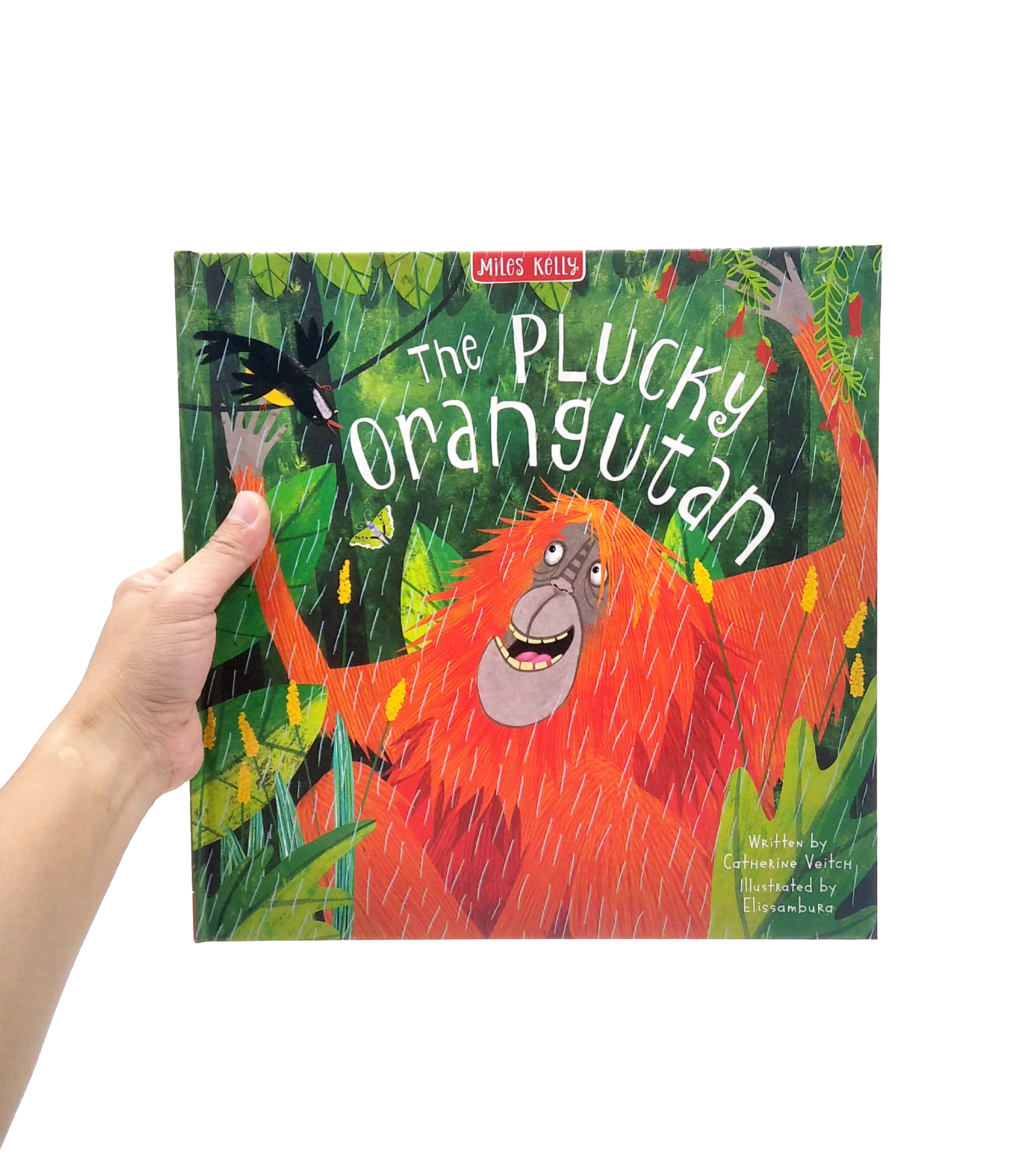 the plucky orangutan