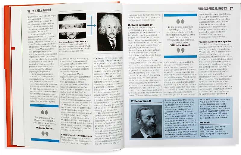 the psychology book (big ideas)