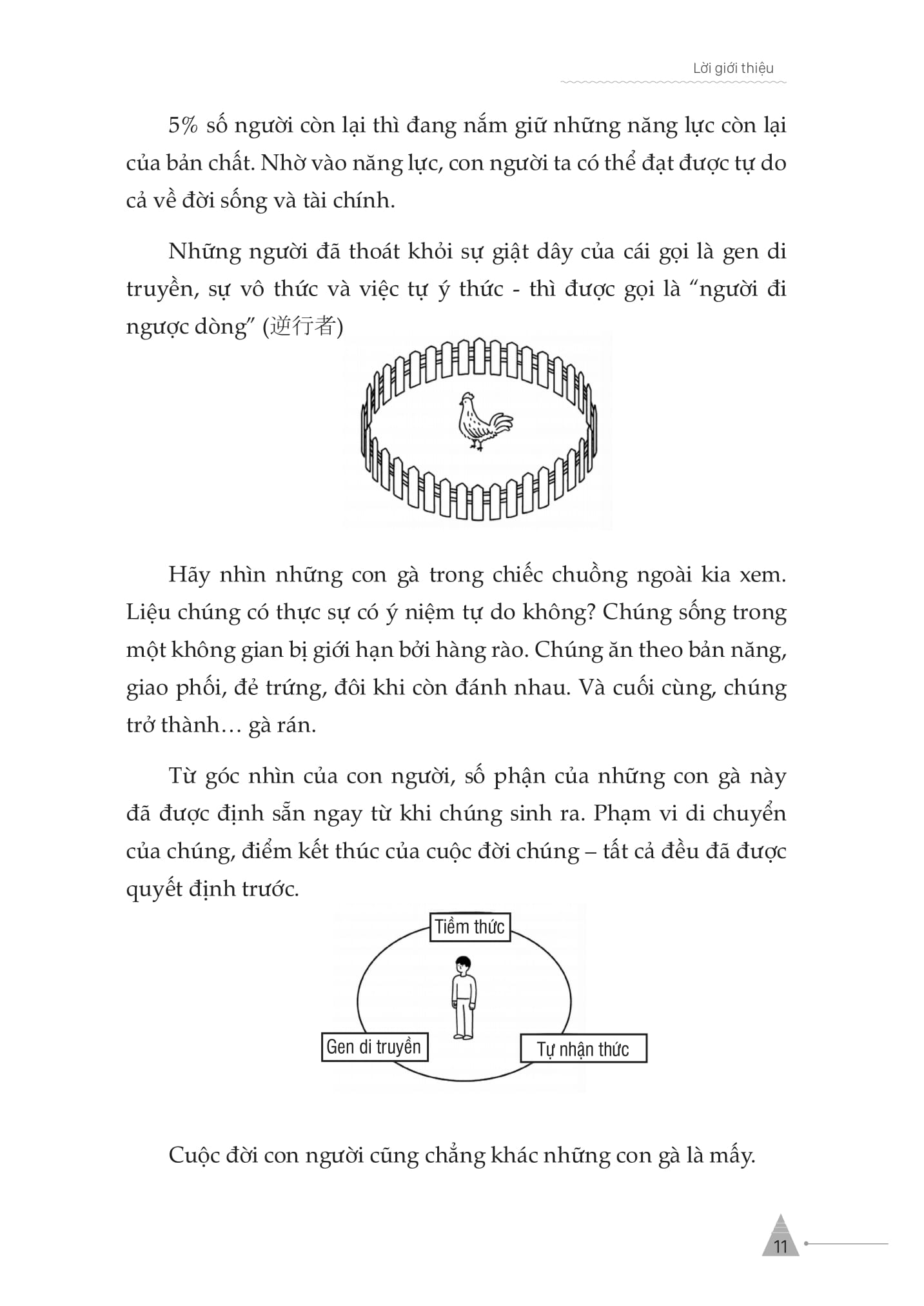 The Reverser - Nguoi Di Nguoc Dong