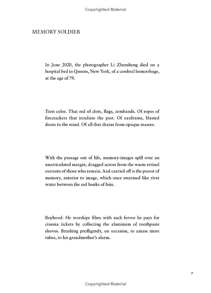 the rupture tense: poems