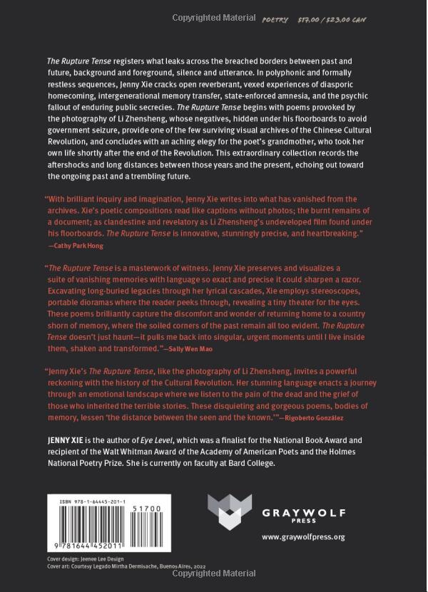 the rupture tense: poems