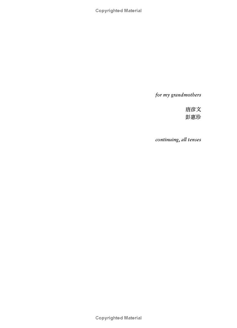 the rupture tense: poems